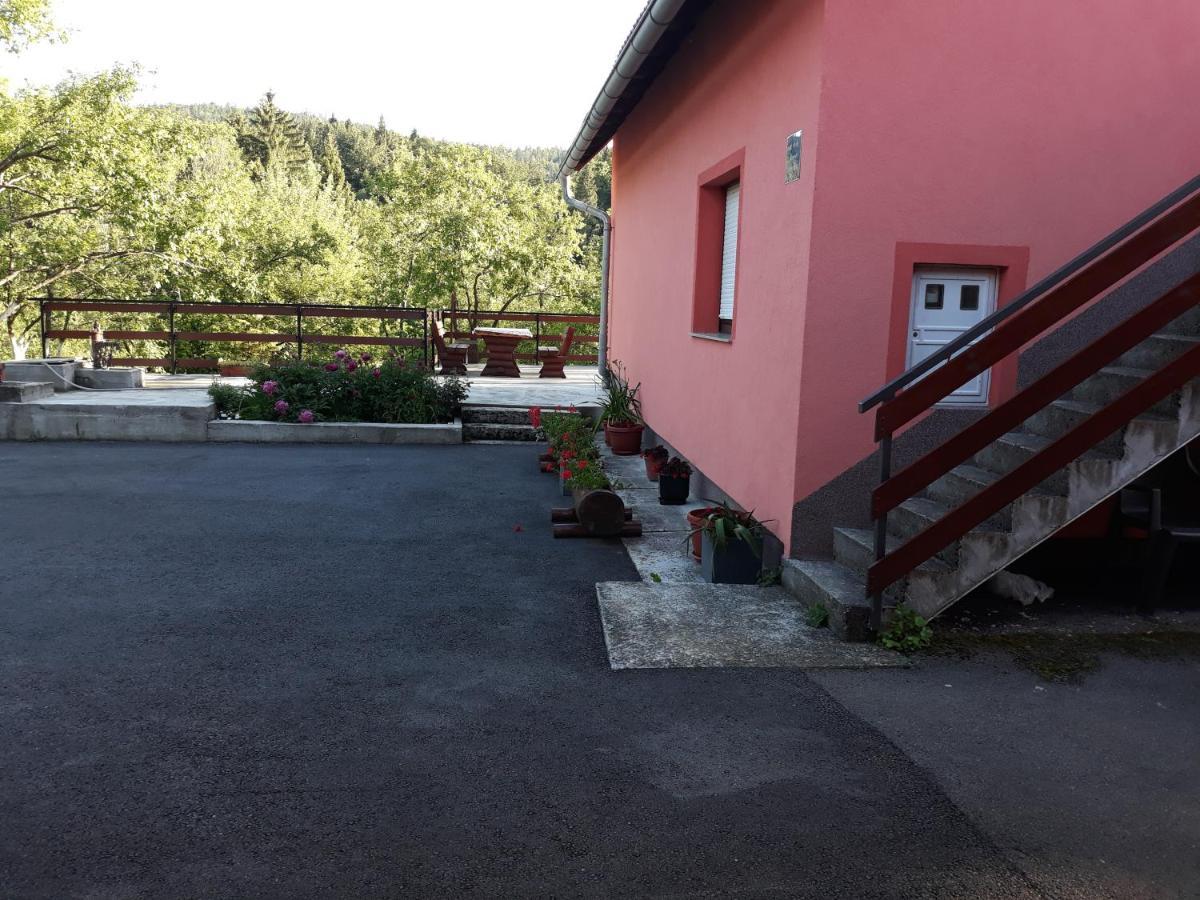 Biljevina Apartment Saborsko Exterior photo