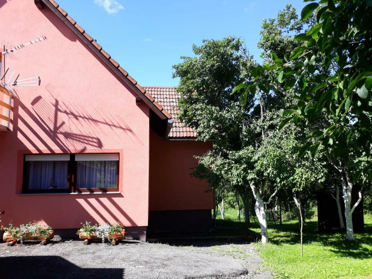 Biljevina Apartment Saborsko Exterior photo